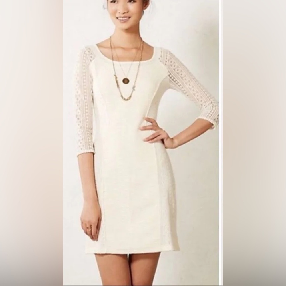 Anthropologie Bordeaux Floral Embroidered Mini Dress